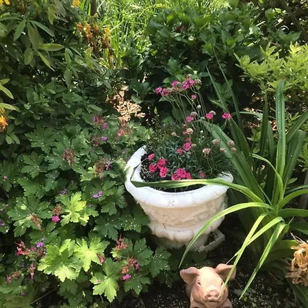 Bartz Gasthuis Verbandsgemeinde Traben-Trarbach