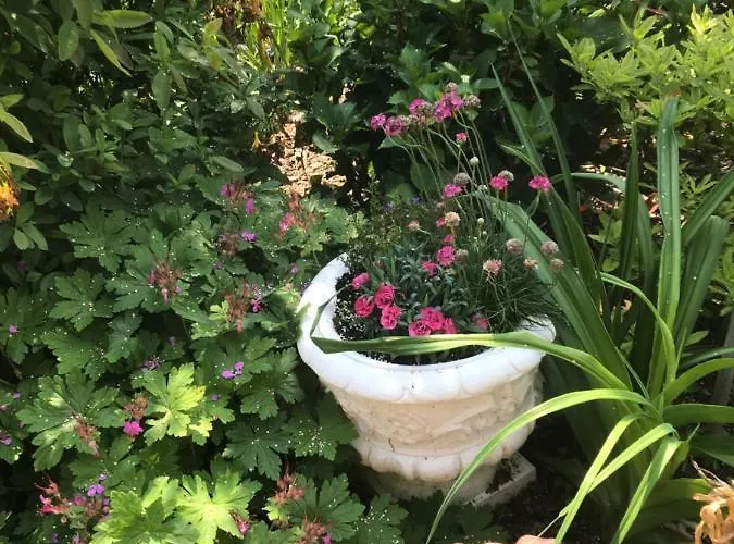 Bartz Casa de hóspedes Traben-Trarbach