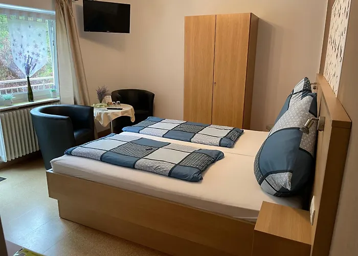 Bartz Гостевой дом Трабен-Трарбах